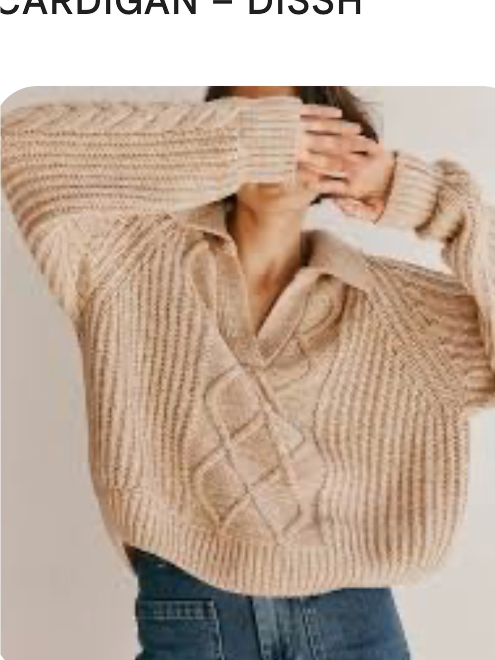 DISSH Beige Cable-Knit Collared Sweater